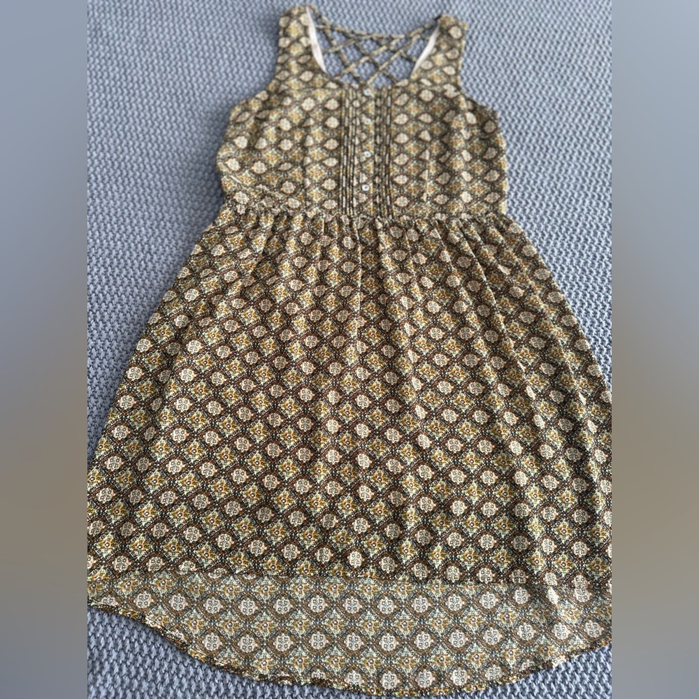 Daniel Rainn Brown and Cream Floral Fit-and-Flare Dress